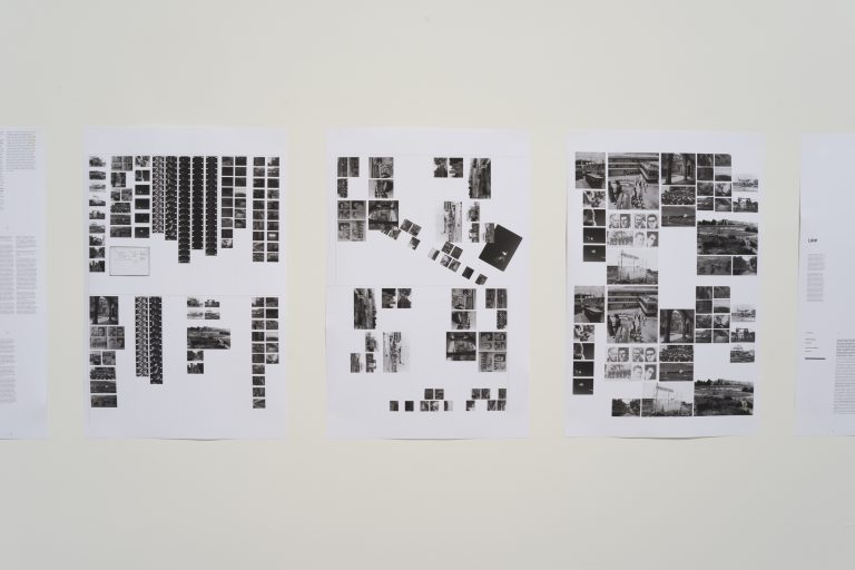 Till Mycha / Fungiculture journal